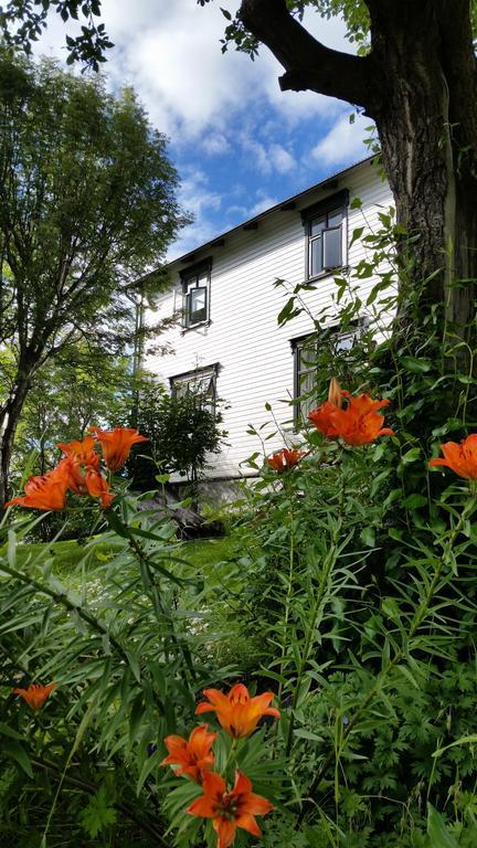 Arbol Guesthouse Húsavík Εξωτερικό φωτογραφία