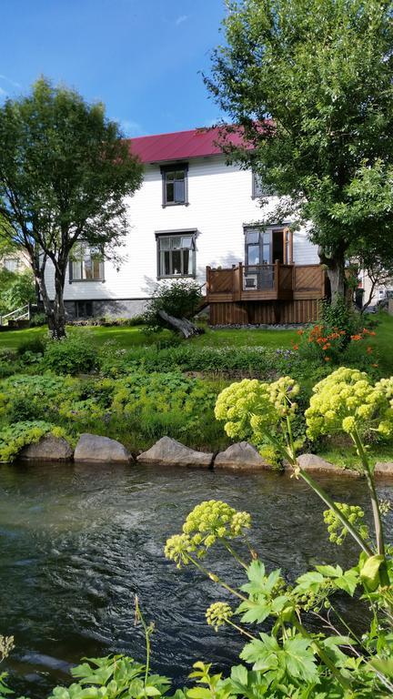 Arbol Guesthouse Húsavík Εξωτερικό φωτογραφία